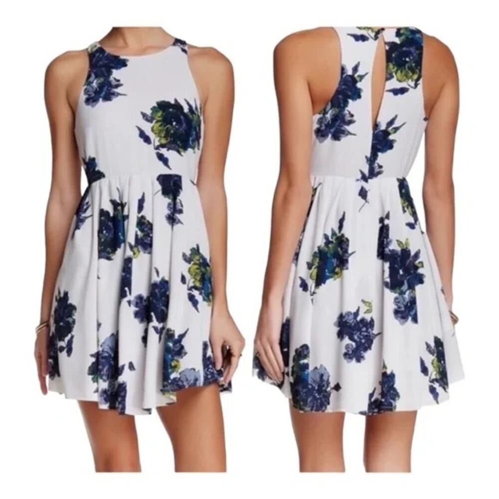 Free People Flutterby Floral Fit & Flare Pleated Dress Size 0 Gray Blue